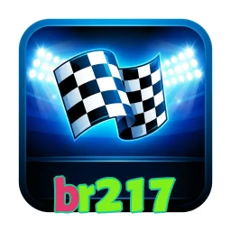 br217