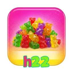 h22