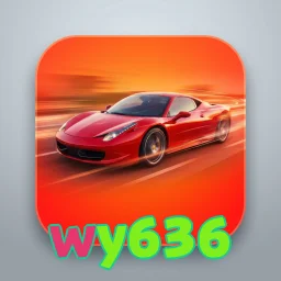wy636